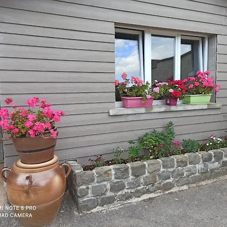 Maisonnette Independante 4 Personnes Jardin Terrasse Vrigne-aux-Bois Exterior photo